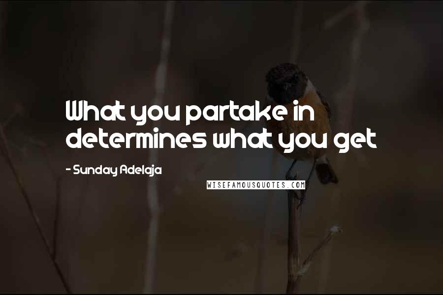 Sunday Adelaja Quotes: What you partake in determines what you get