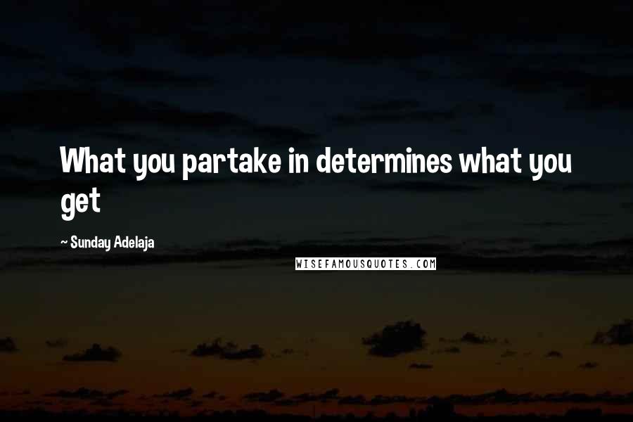 Sunday Adelaja Quotes: What you partake in determines what you get