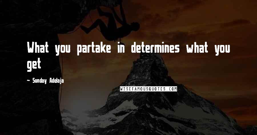 Sunday Adelaja Quotes: What you partake in determines what you get