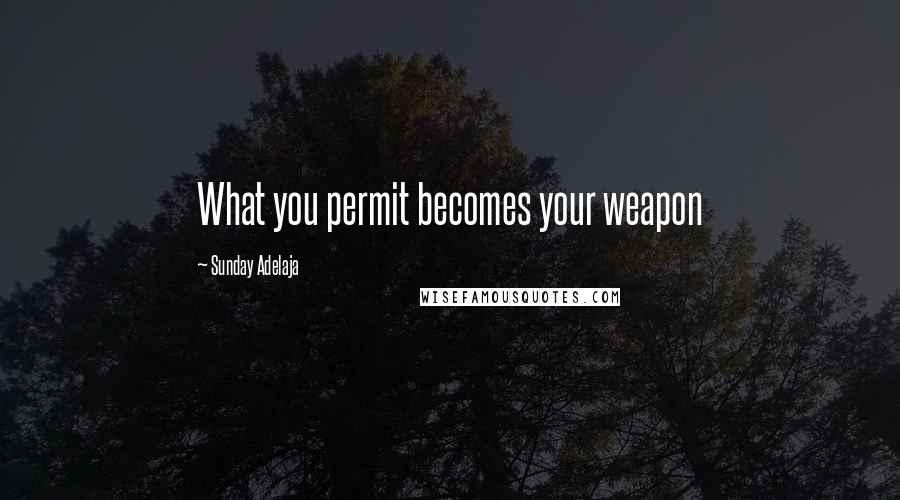 Sunday Adelaja Quotes: What you permit becomes your weapon