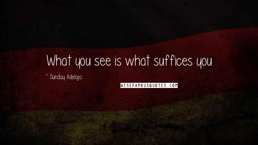 Sunday Adelaja Quotes: What you see is what suffices you