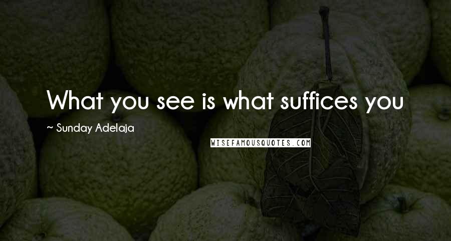 Sunday Adelaja Quotes: What you see is what suffices you