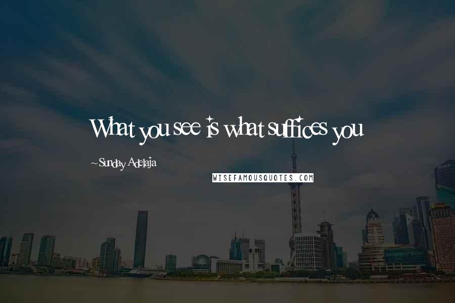 Sunday Adelaja Quotes: What you see is what suffices you