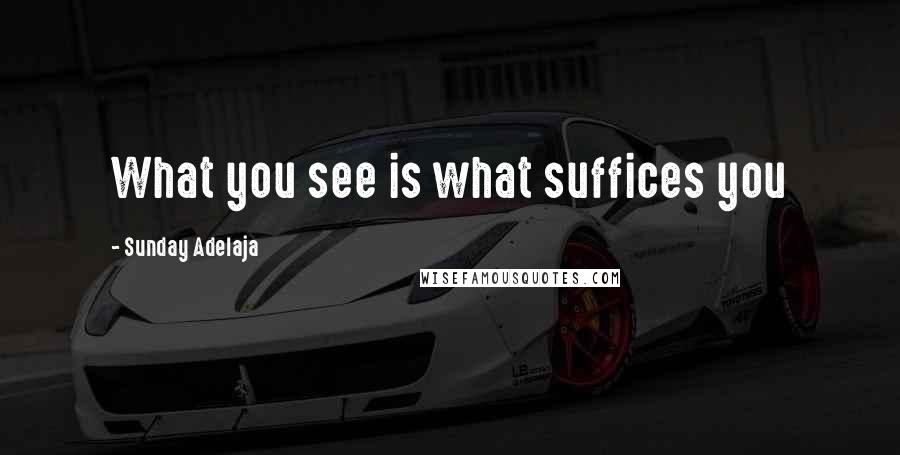 Sunday Adelaja Quotes: What you see is what suffices you