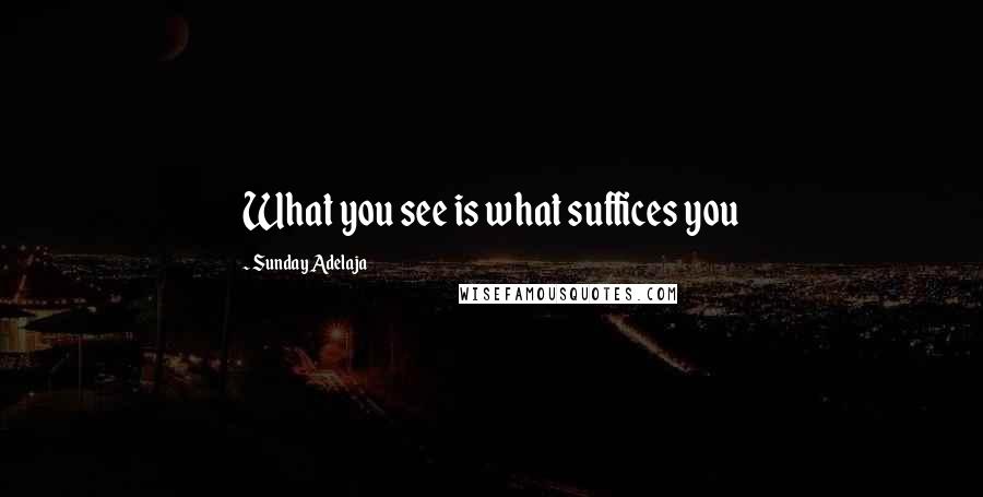 Sunday Adelaja Quotes: What you see is what suffices you