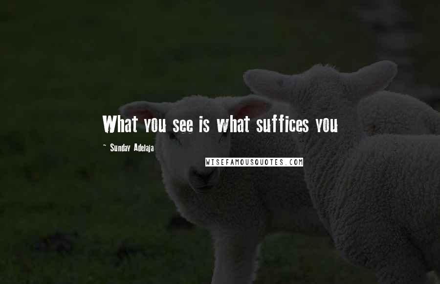 Sunday Adelaja Quotes: What you see is what suffices you