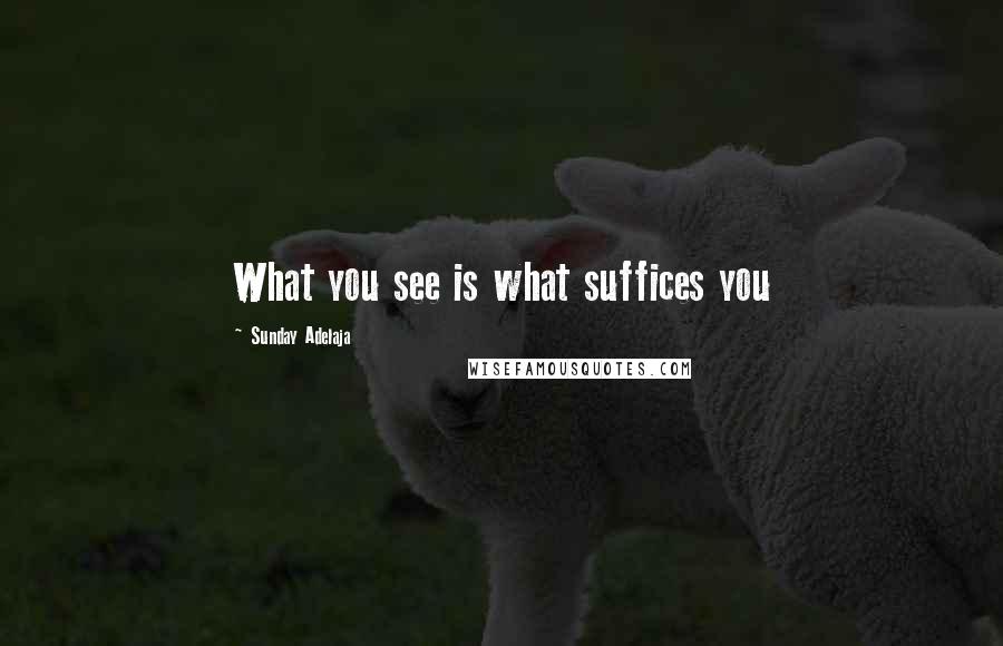 Sunday Adelaja Quotes: What you see is what suffices you