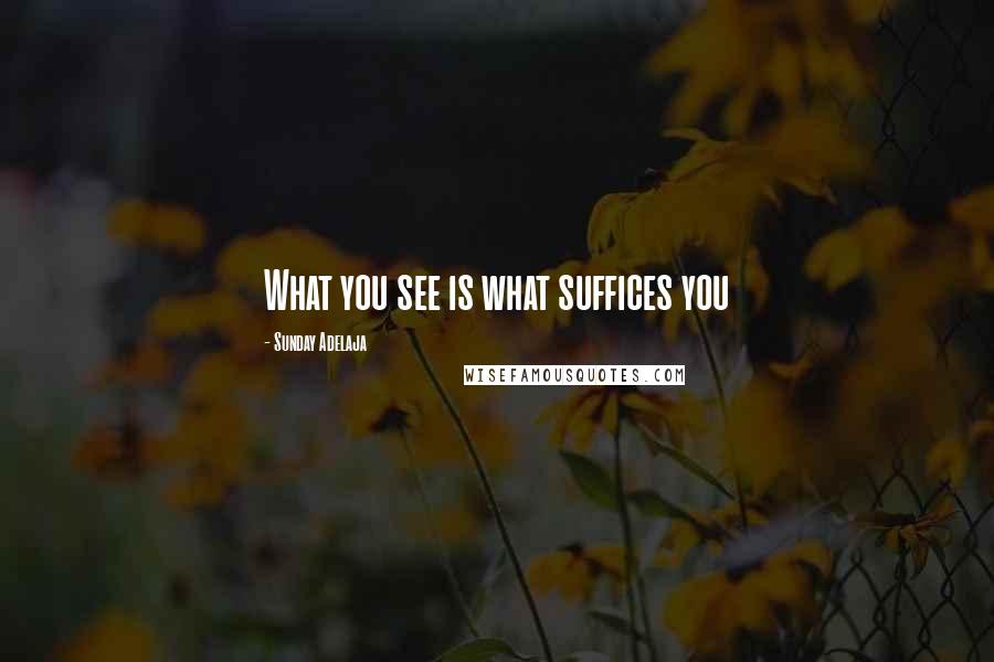 Sunday Adelaja Quotes: What you see is what suffices you