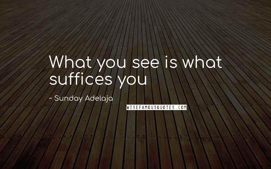 Sunday Adelaja Quotes: What you see is what suffices you