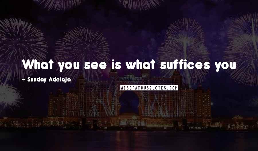 Sunday Adelaja Quotes: What you see is what suffices you