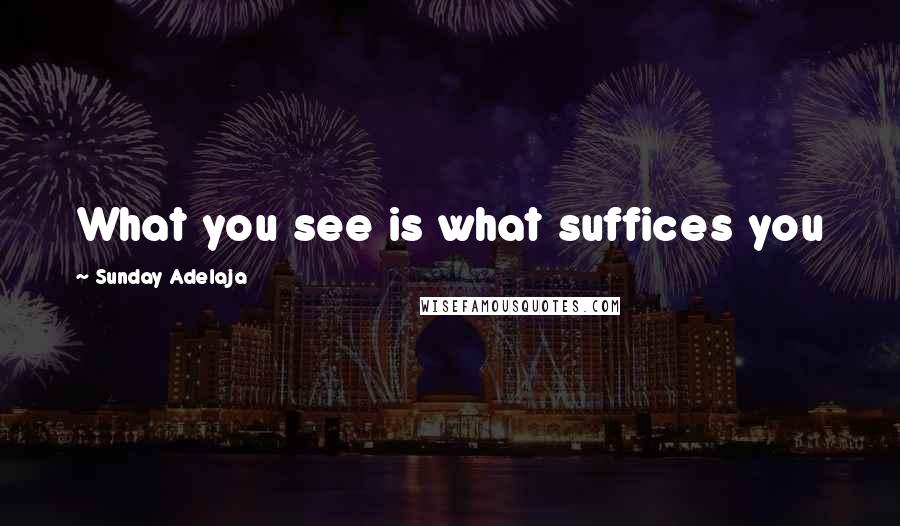 Sunday Adelaja Quotes: What you see is what suffices you