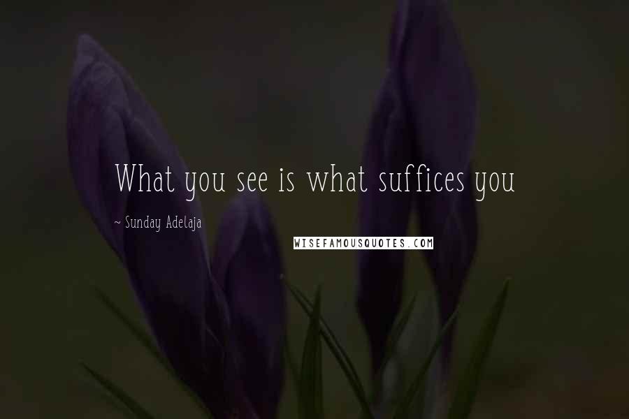 Sunday Adelaja Quotes: What you see is what suffices you