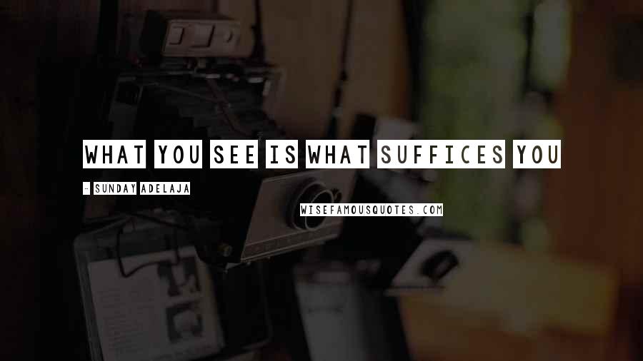 Sunday Adelaja Quotes: What you see is what suffices you