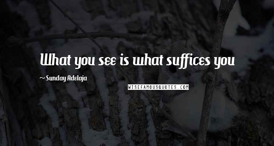 Sunday Adelaja Quotes: What you see is what suffices you