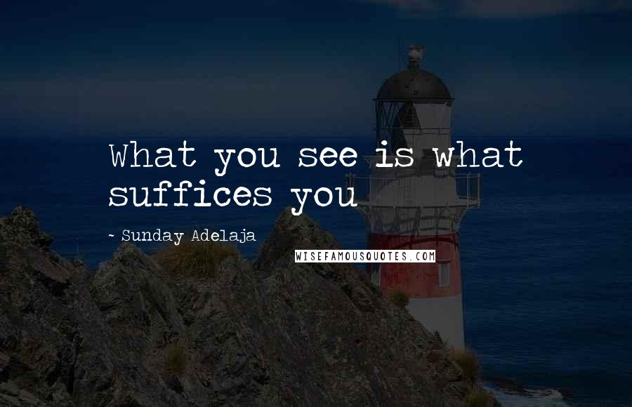 Sunday Adelaja Quotes: What you see is what suffices you