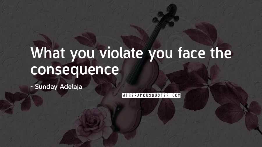Sunday Adelaja Quotes: What you violate you face the consequence