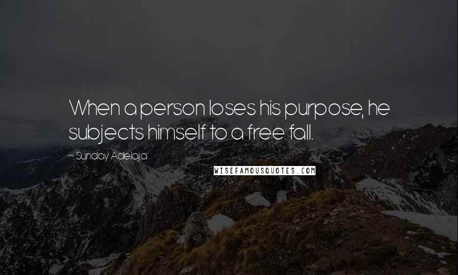 Sunday Adelaja Quotes: When a person loses his purpose, he subjects himself to a free fall.