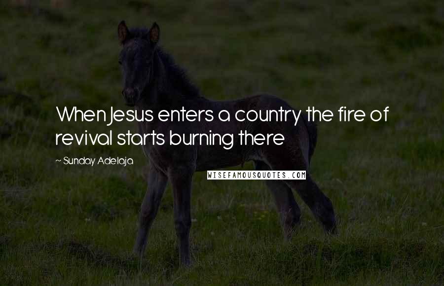 Sunday Adelaja Quotes: When Jesus enters a country the fire of revival starts burning there