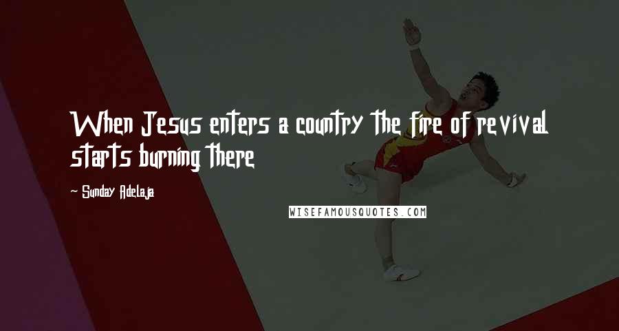 Sunday Adelaja Quotes: When Jesus enters a country the fire of revival starts burning there