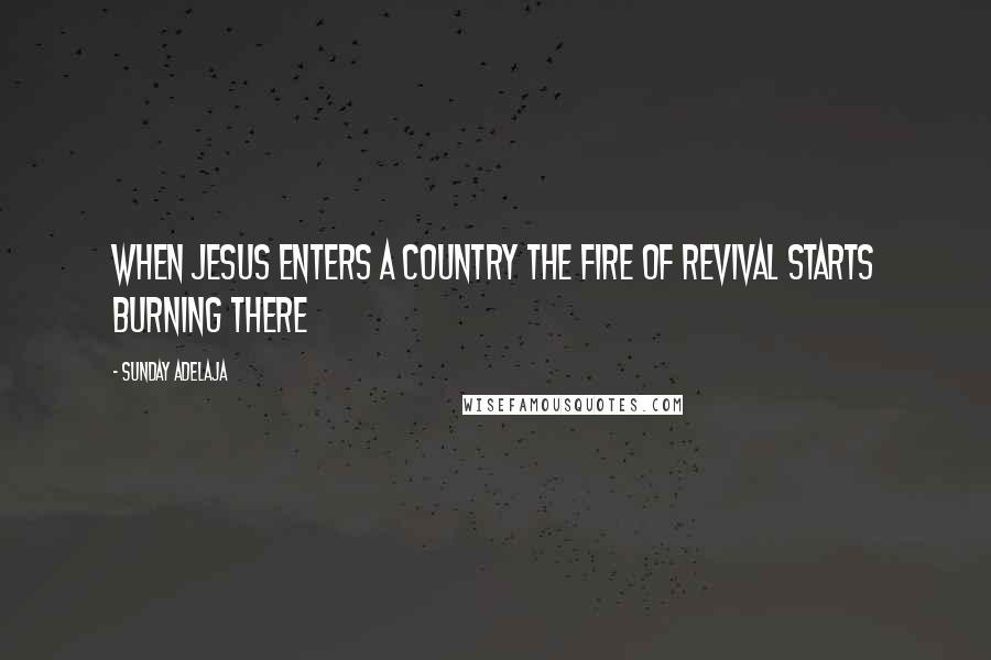 Sunday Adelaja Quotes: When Jesus enters a country the fire of revival starts burning there