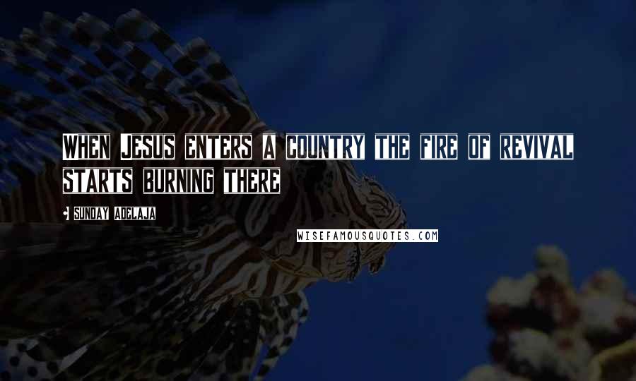 Sunday Adelaja Quotes: When Jesus enters a country the fire of revival starts burning there