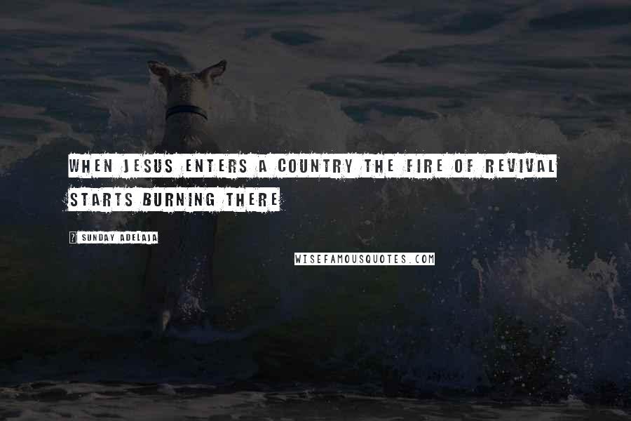 Sunday Adelaja Quotes: When Jesus enters a country the fire of revival starts burning there