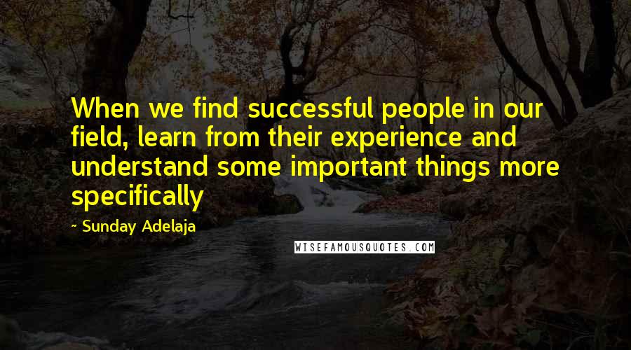 Sunday Adelaja Quotes: When we find successful people in our field, learn from their experience and understand some important things more specifically