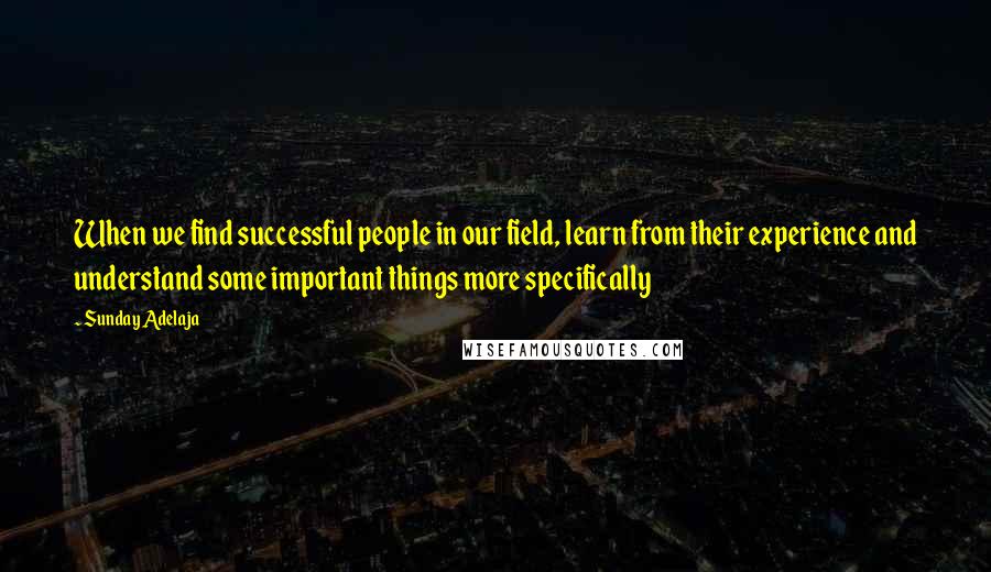 Sunday Adelaja Quotes: When we find successful people in our field, learn from their experience and understand some important things more specifically