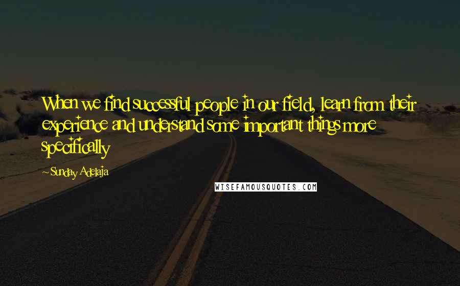 Sunday Adelaja Quotes: When we find successful people in our field, learn from their experience and understand some important things more specifically