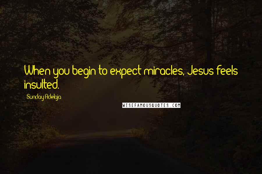 Sunday Adelaja Quotes: When you begin to expect miracles, Jesus feels insulted.