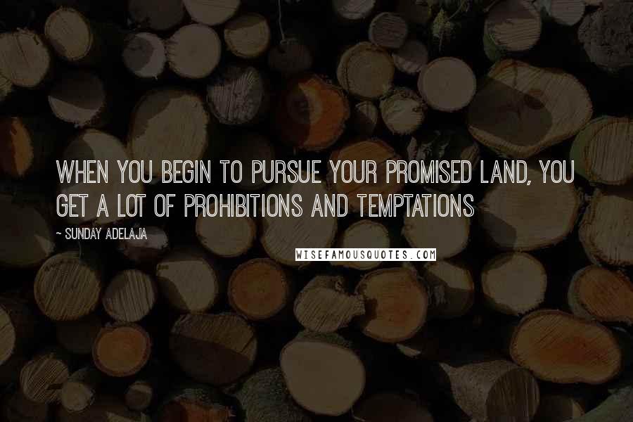 Sunday Adelaja Quotes: When you begin to pursue your promised land, you get a lot of prohibitions and temptations