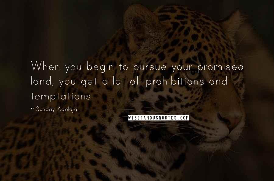 Sunday Adelaja Quotes: When you begin to pursue your promised land, you get a lot of prohibitions and temptations