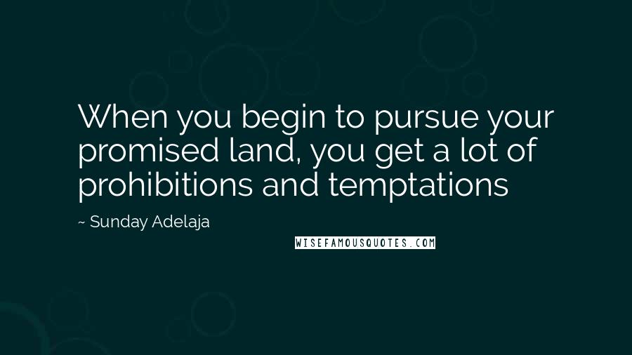 Sunday Adelaja Quotes: When you begin to pursue your promised land, you get a lot of prohibitions and temptations