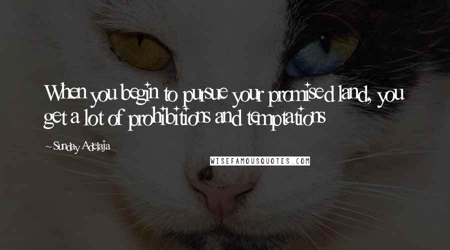 Sunday Adelaja Quotes: When you begin to pursue your promised land, you get a lot of prohibitions and temptations