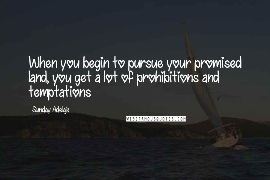 Sunday Adelaja Quotes: When you begin to pursue your promised land, you get a lot of prohibitions and temptations