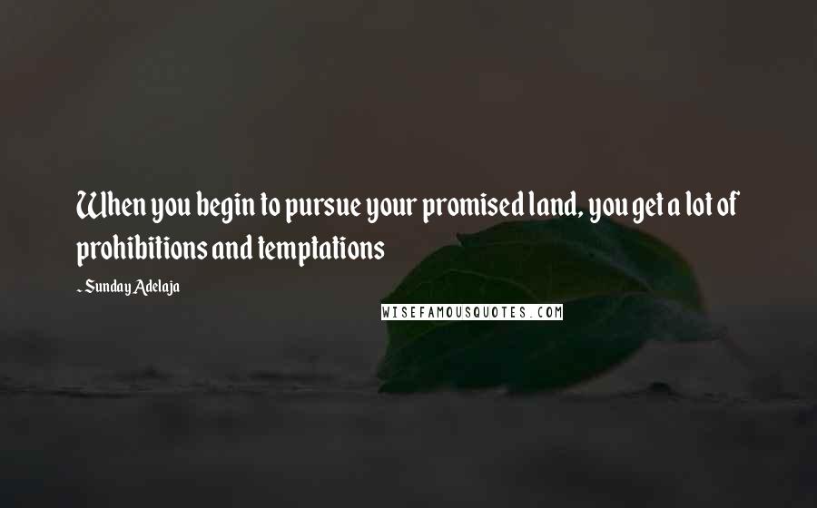 Sunday Adelaja Quotes: When you begin to pursue your promised land, you get a lot of prohibitions and temptations