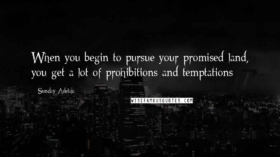 Sunday Adelaja Quotes: When you begin to pursue your promised land, you get a lot of prohibitions and temptations