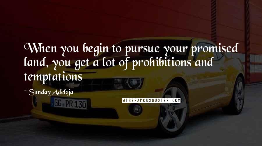 Sunday Adelaja Quotes: When you begin to pursue your promised land, you get a lot of prohibitions and temptations