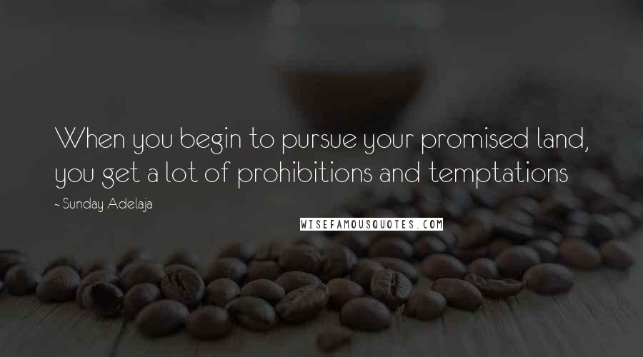 Sunday Adelaja Quotes: When you begin to pursue your promised land, you get a lot of prohibitions and temptations