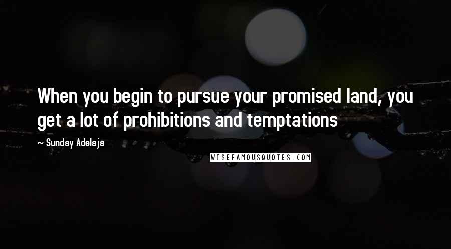 Sunday Adelaja Quotes: When you begin to pursue your promised land, you get a lot of prohibitions and temptations