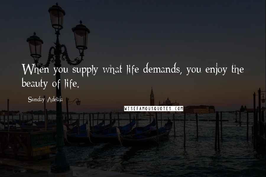 Sunday Adelaja Quotes: When you supply what life demands, you enjoy the beauty of life.