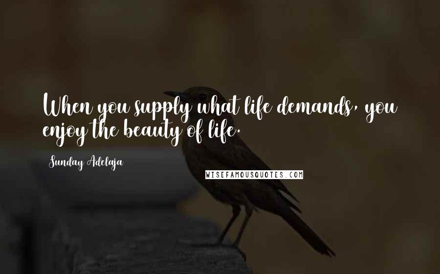 Sunday Adelaja Quotes: When you supply what life demands, you enjoy the beauty of life.