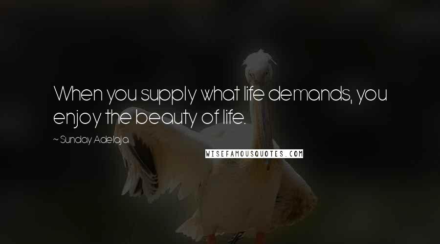 Sunday Adelaja Quotes: When you supply what life demands, you enjoy the beauty of life.