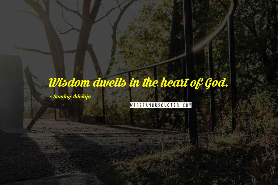 Sunday Adelaja Quotes: Wisdom dwells in the heart of God.
