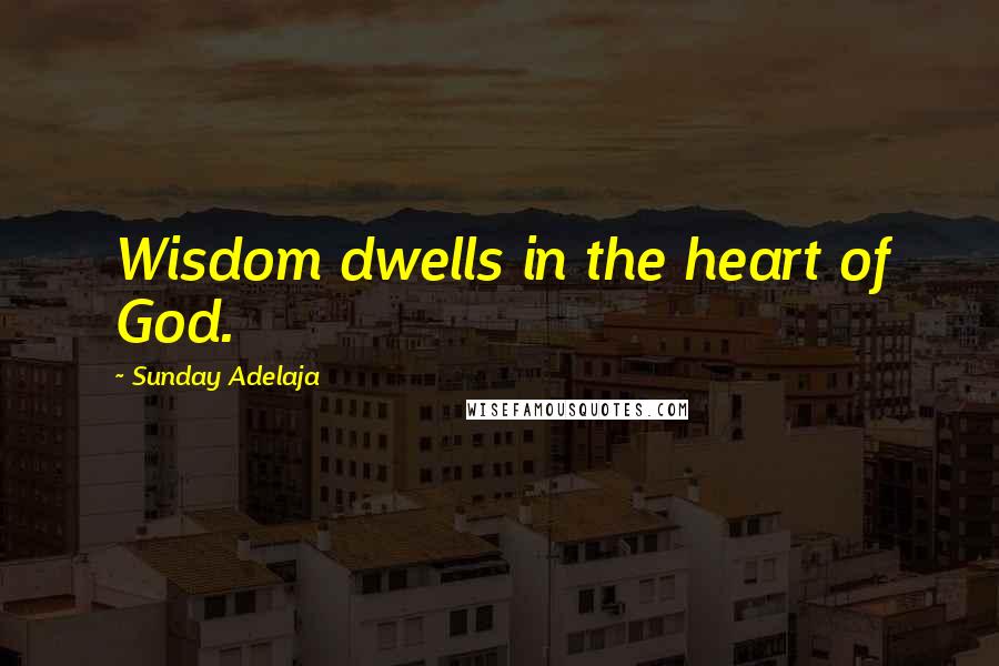 Sunday Adelaja Quotes: Wisdom dwells in the heart of God.