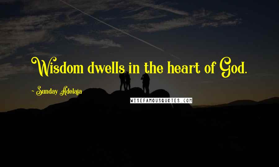 Sunday Adelaja Quotes: Wisdom dwells in the heart of God.