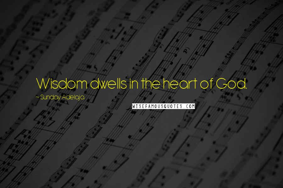 Sunday Adelaja Quotes: Wisdom dwells in the heart of God.