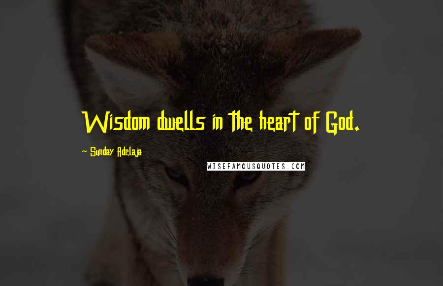 Sunday Adelaja Quotes: Wisdom dwells in the heart of God.