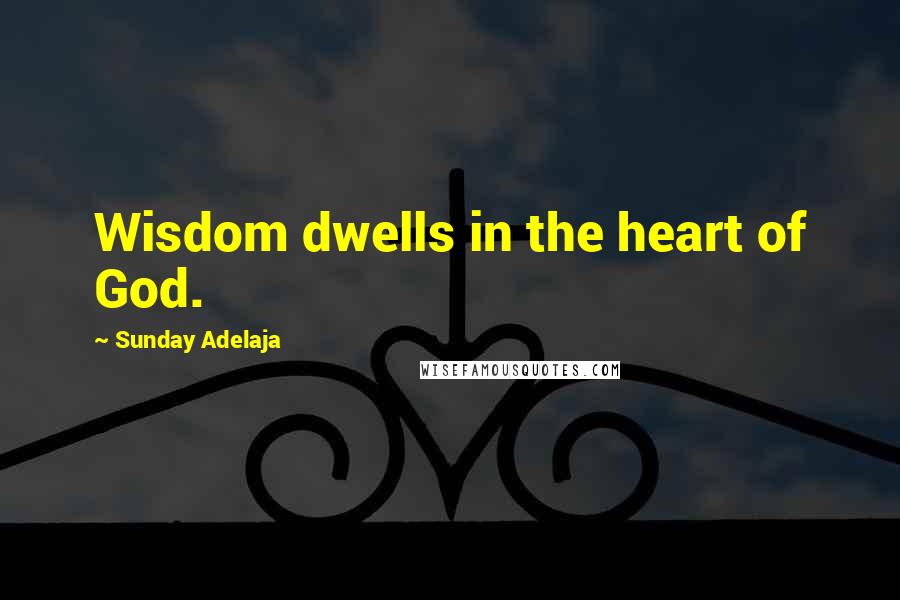 Sunday Adelaja Quotes: Wisdom dwells in the heart of God.