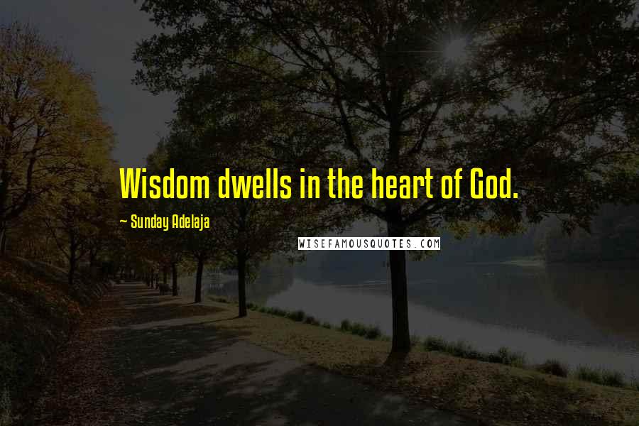 Sunday Adelaja Quotes: Wisdom dwells in the heart of God.